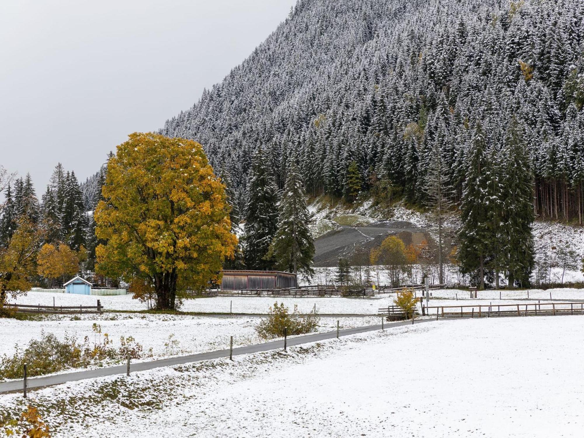 Chalet Apartment In Saalbach Hinterglemm Dış mekan fotoğraf